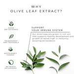 Olive Leaf Extract - 8.5 oz